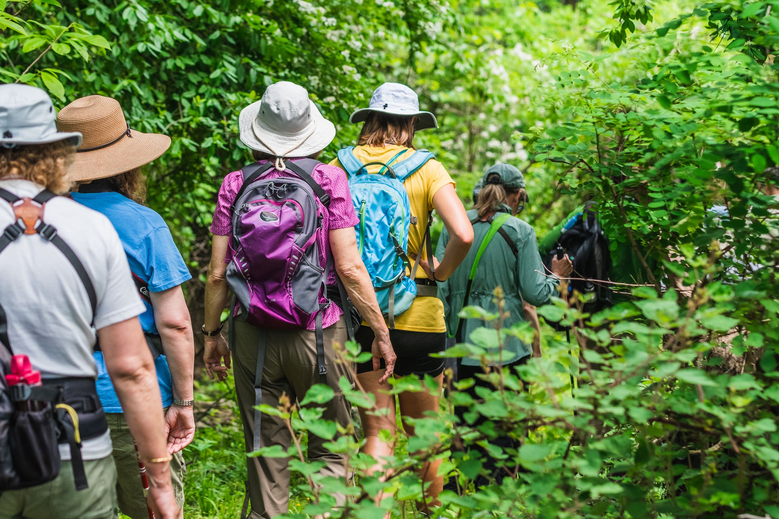 Group of people hiking the Birding Trail at Jefferson Patterson Park