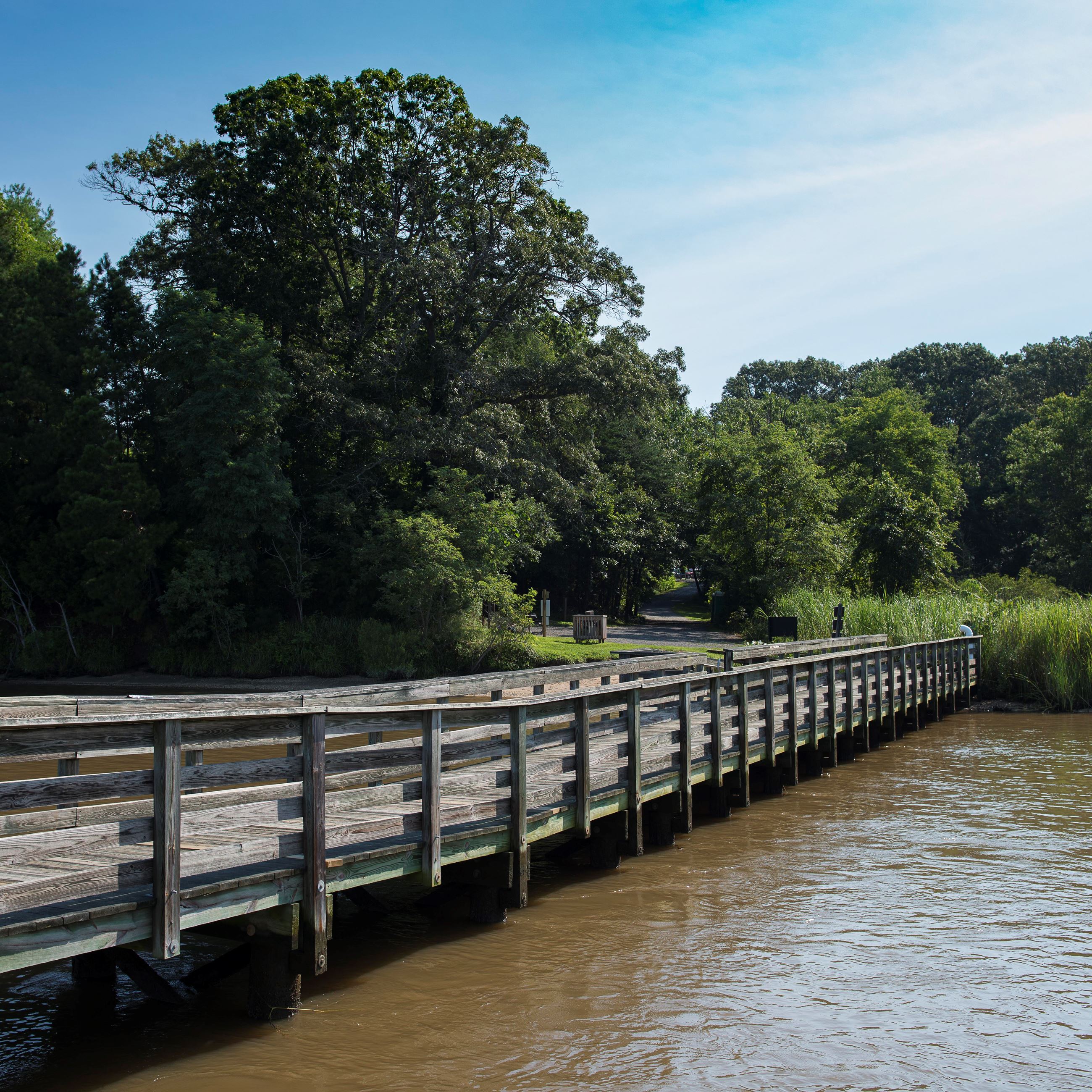 Boardwalk trail at Kings Landing