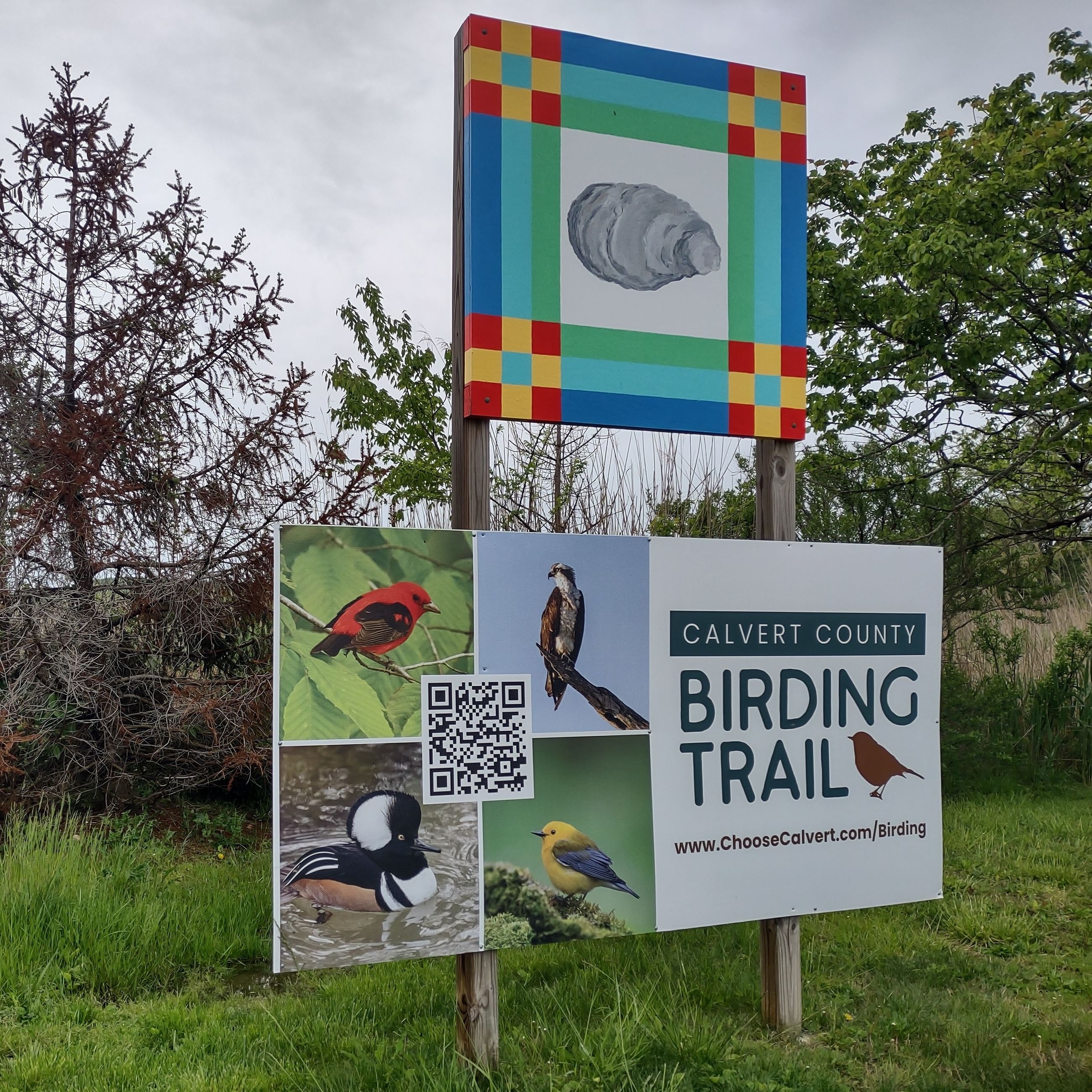 Birding trail sign at the entrance to the boardwalk trail 
