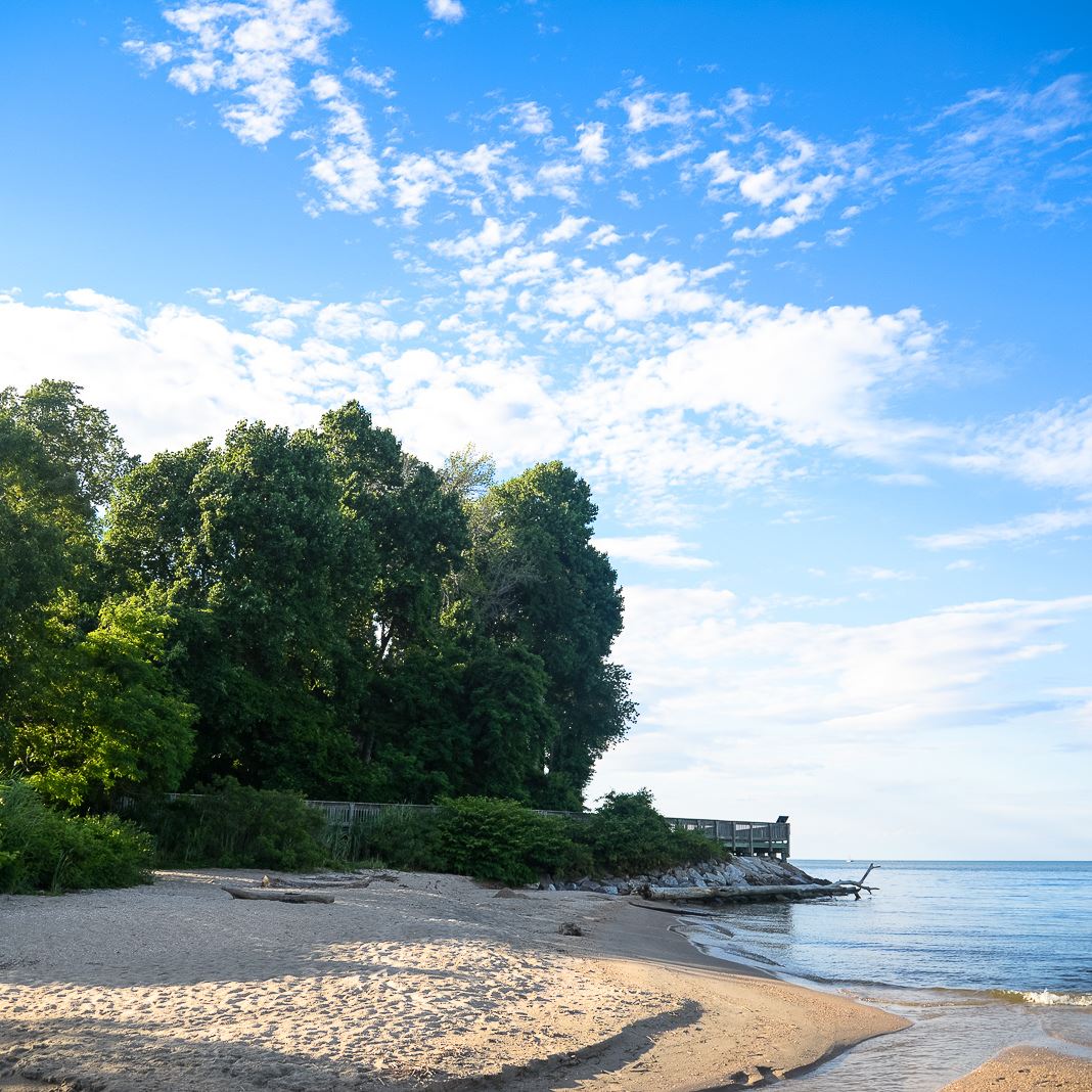 Shoreline with trees and boardwalk in the distance