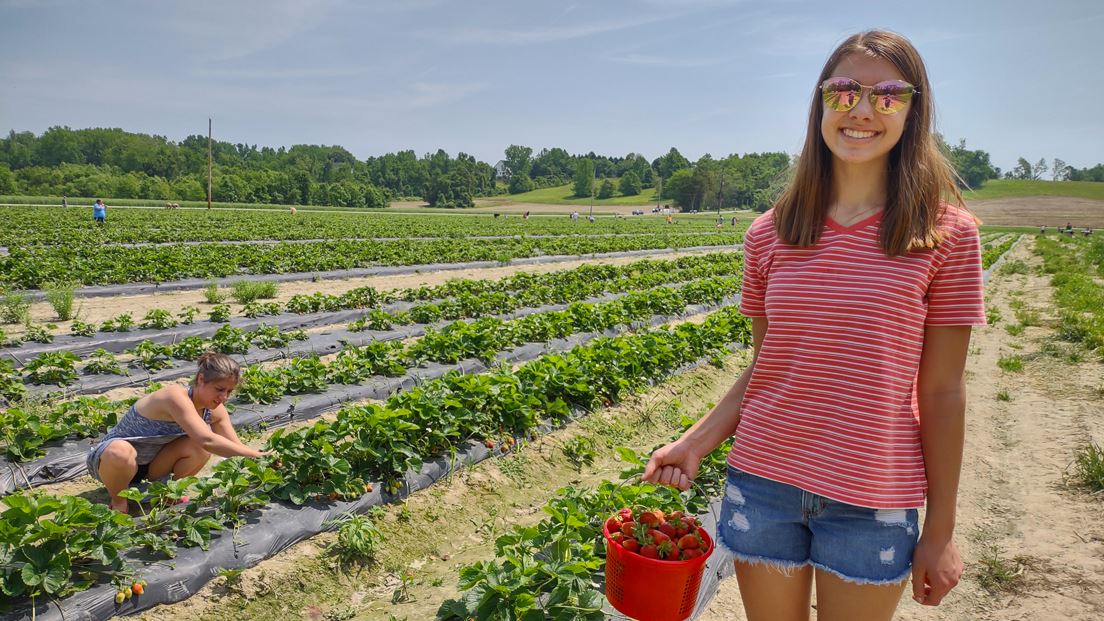 A girl with sunglasses and a red bucket full of strawberries stands in front of a berry patch