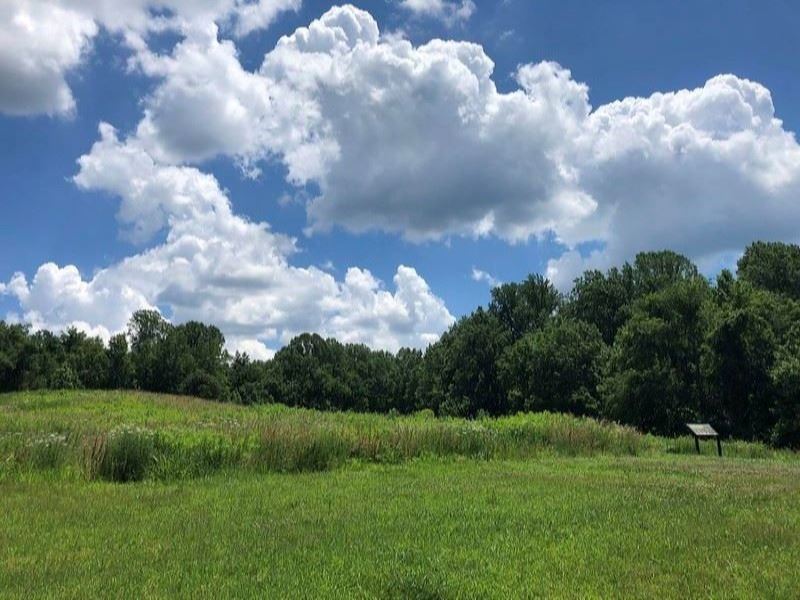 Meadow in summer at Biscoe Gray Heritage Farm