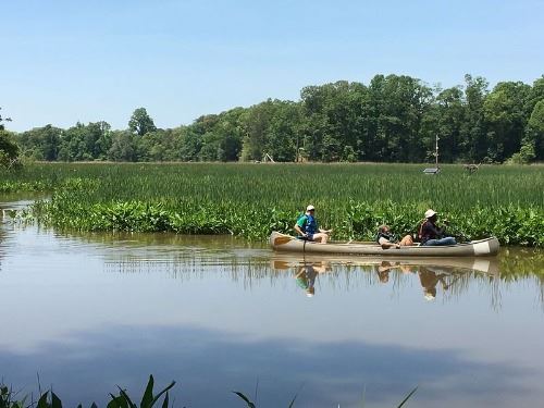 Canoeing on creek