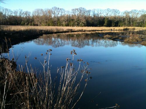 Kings Landing Park in winter
