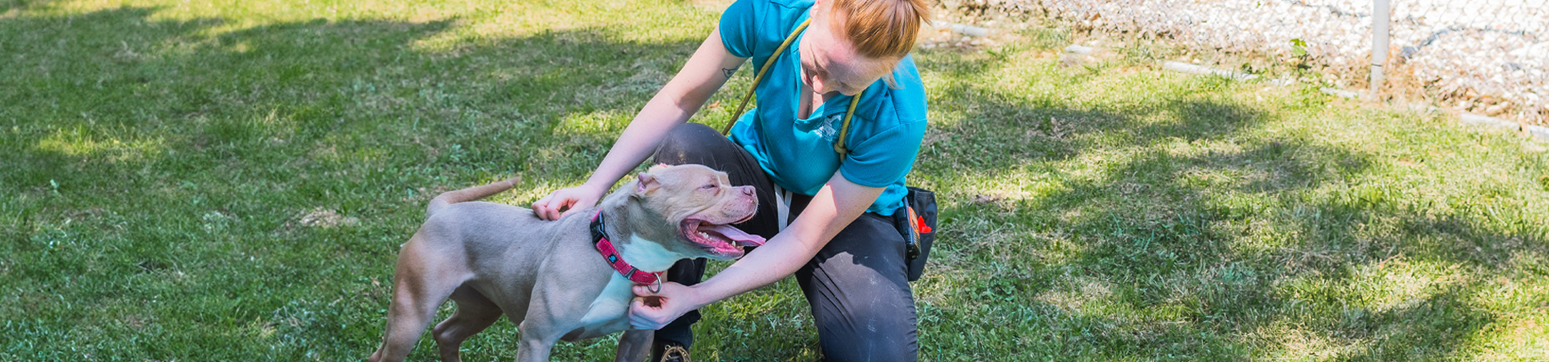 Woman petting a tan dog outside