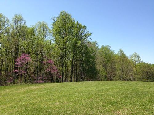 Biscoe Gray Heritage Farm