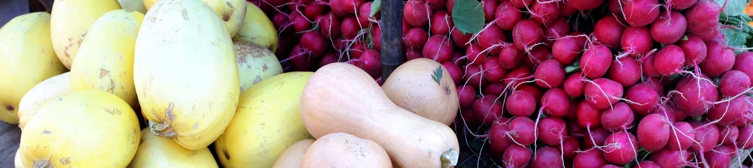 vibrant colored vegetables